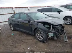 5NPE24AF5HH446864 2017 HYUNDAI SONATA