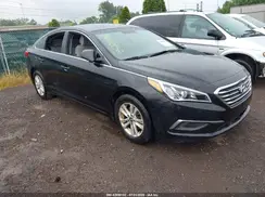 5NPE24AF5HH447982 2017 HYUNDAI SONATA