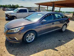 5NPE24AF5HH448775 2017 HYUNDAI SONATA