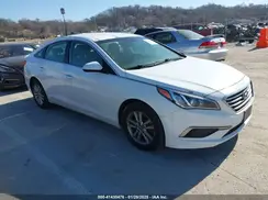 5NPE24AF5HH460523 2017 HYUNDAI SONATA