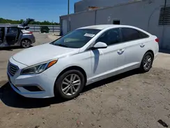 5NPE24AF5HH469920 2017 HYUNDAI SONATA