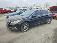 5NPE24AF5HH470808 2017 HYUNDAI SONATA