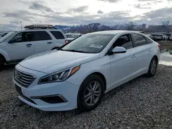5NPE24AF5HH482375 2017 HYUNDAI SONATA