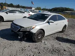 5NPE24AF5HH484434 2017 HYUNDAI SONATA
