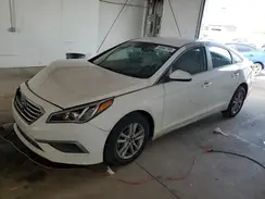 5NPE24AF5HH492811 2017 HYUNDAI SONATA