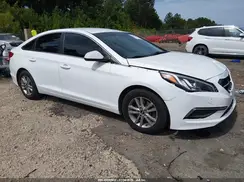 5NPE24AF5HH495689 2017 HYUNDAI SONATA