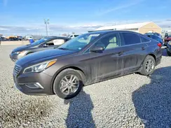5NPE24AF5HH497393 2017 HYUNDAI SONATA