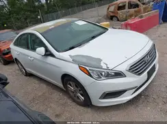 5NPE24AF5HH503290 2017 HYUNDAI SONATA