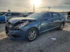 5NPE24AF5HH506206 2017 HYUNDAI SONATA
