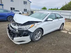 5NPE24AF5HH506769 2017 HYUNDAI SONATA