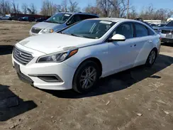 5NPE24AF5HH511213 2017 HYUNDAI SONATA