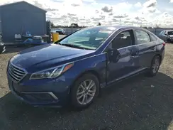 5NPE24AF5HH513933 2017 HYUNDAI SONATA