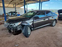 5NPE24AF5HH518310 2017 HYUNDAI SONATA