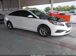 5NPE24AF5HH520235 2017 HYUNDAI SONATA
