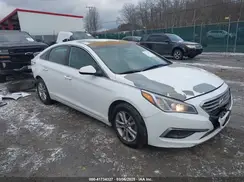 5NPE24AF5HH529517 2017 HYUNDAI SONATA