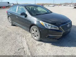 5NPE24AF5HH529890 2017 HYUNDAI SONATA