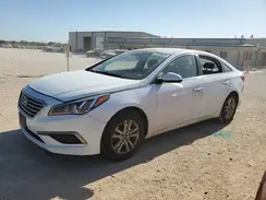 5NPE24AF5HH531316 2017 HYUNDAI SONATA
