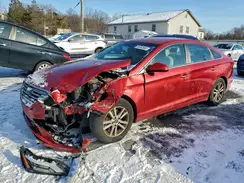 5NPE24AF5HH533132 2017 HYUNDAI SONATA