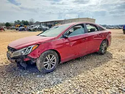 5NPE24AF5HH536502 2017 HYUNDAI SONATA