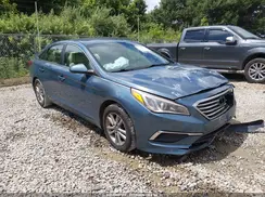 5NPE24AF5HH536919 2017 HYUNDAI SONATA