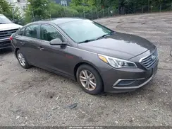 5NPE24AF5HH538198 2017 HYUNDAI SONATA