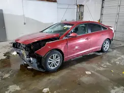 5NPE24AF5HH541201 2017 HYUNDAI SONATA