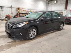 5NPE24AF5HH544406 2017 HYUNDAI SONATA