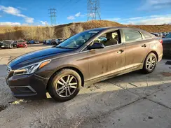 5NPE24AF5HH545703 2017 HYUNDAI SONATA