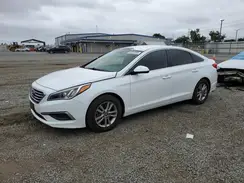 5NPE24AF5HH559570 2017 HYUNDAI SONATA