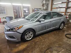 5NPE24AF5HH564526 2017 HYUNDAI SONATA