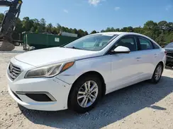 5NPE24AF5HH568804 2017 HYUNDAI SONATA