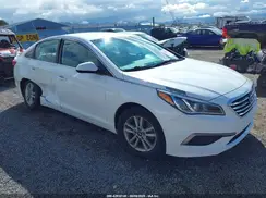 5NPE24AF5HH574621 2017 HYUNDAI SONATA