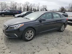 5NPE24AF5HH590169 2017 HYUNDAI SONATA