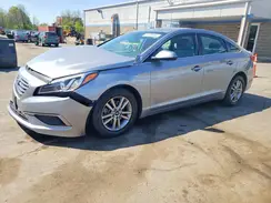 5NPE24AF5HH590334 2017 HYUNDAI SONATA
