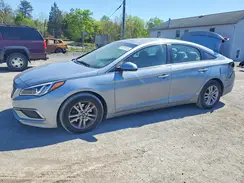 5NPE24AF5HH590771 2017 HYUNDAI SONATA