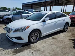 5NPE24AF5HH594206 2017 HYUNDAI SONATA