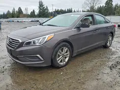 5NPE24AF5HH595887 2017 HYUNDAI SONATA