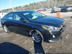 5NPE24AF5JH598245 2018 HYUNDAI SONATA