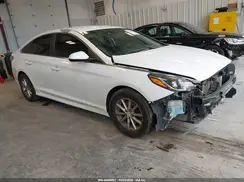 5NPE24AF5JH622527 2018 HYUNDAI SONATA