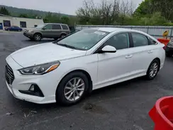 5NPE24AF5JH681805 2018 HYUNDAI SONATA