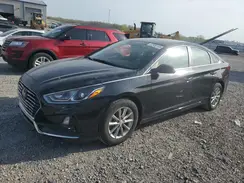 5NPE24AF5JH704807 2018 HYUNDAI SONATA