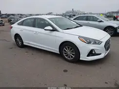 5NPE24AF5KH731474 2019 HYUNDAI SONATA