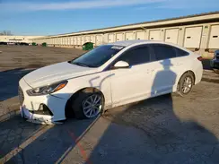 5NPE24AF5KH734147 2019 HYUNDAI SONATA
