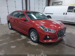 5NPE24AF5KH735198 2019 HYUNDAI SONATA