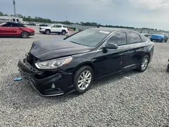 5NPE24AF5KH736559 2019 HYUNDAI SONATA