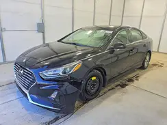 5NPE24AF5KH737775 2019 HYUNDAI SONATA