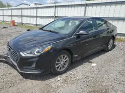 5NPE24AF5KH742359 2019 HYUNDAI SONATA