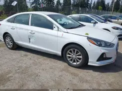5NPE24AF5KH743317 2019 HYUNDAI SONATA