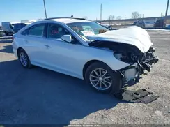 5NPE24AF5KH746542 2019 HYUNDAI SONATA