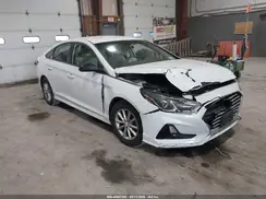 5NPE24AF5KH747934 2019 HYUNDAI SONATA